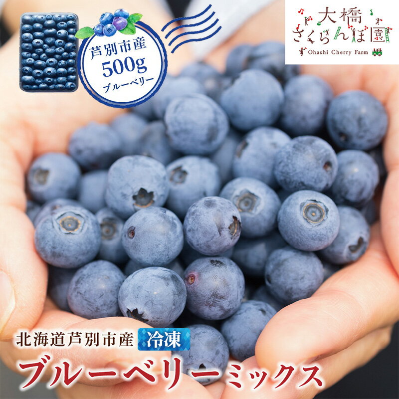 【ふるさと納税】ブルーベリー ミックス 500g 冷凍 果物 くだもの フルーツ 旬の果物 旬のフルーツ ミックスブルーベリー 大粒 小粒 北海道 芦別市