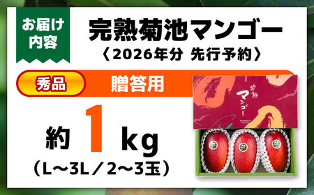 【2026年発送分 先行予約】【数量限定】秀品 菊池マンゴー約1kg（2～3玉） L〜3Lサイズ　マンゴー マンゴー マンゴー マンゴー マンゴー [AYDF003]