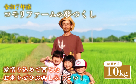 米 令和7年産 精米 12月発送 10kg ｜KMF