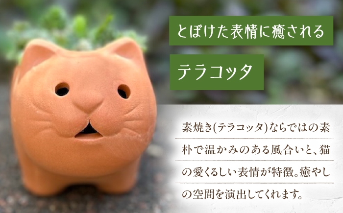多肉植物 寄せ植え 鉢 埴輪 テラコッタ 猫 ねこ ガーデニング 花 初心者
