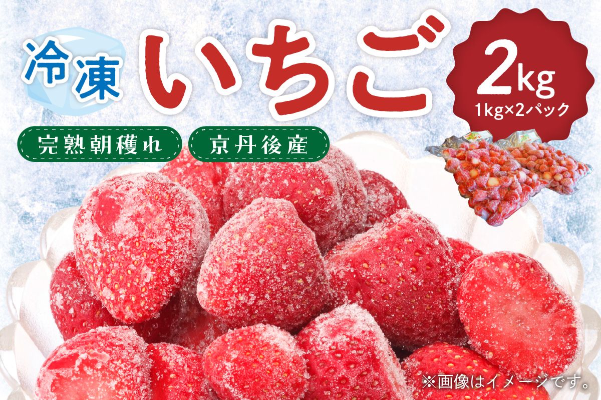 完熟朝穫れ 冷凍いちご　HK00272