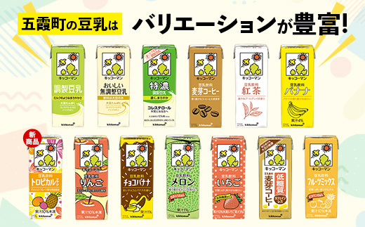 【合計200ml×18本】特濃調製豆乳200ml ／ 飲料 キッコーマン 健康 特濃 豆乳飲料 大豆 パック セット 飲み切り 茨城県 五霞町 18本　1回配送