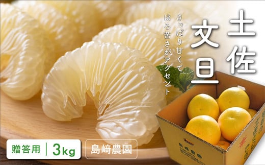
島﨑農園の土佐文旦3kg贈答用

