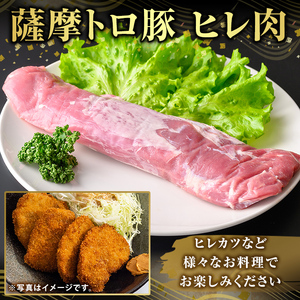 K-486-B 鹿児島県産 薩摩トロ豚 ヒレ肉(計600g)【ふるさと産直バザール】霧島市 ヒレ肉 国産 鹿児島県産 肉 精肉