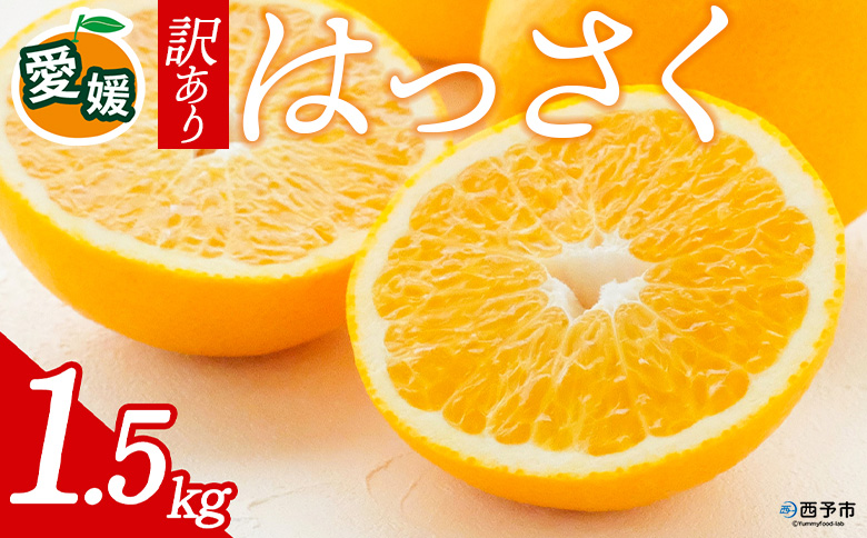 先行予約＜訳あり 愛媛県産 八朔 合計約1.5kg＞ 『2027年2月中旬以降順次出荷予定』ミヤモトオレンジガーデン 愛媛県 西予市