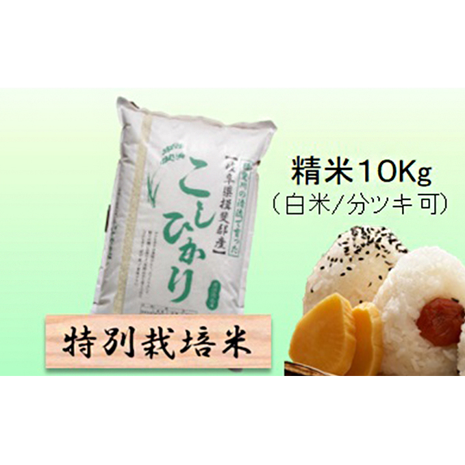 特別栽培米★精米10kg（白米/5分/7分ツキ可）【コシヒカリ】 玄米は別に出品