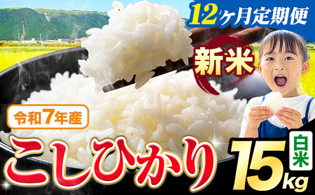 【12ヶ月定期便】令和7年産 新米 こしひかり 15kg 定期便《お申込み月の翌月から出荷開始》熊本県産 ふるさと納税 白米 精米 ひの 米 こめ ふるさとのうぜい コシヒカリ コメ お米 おこめ