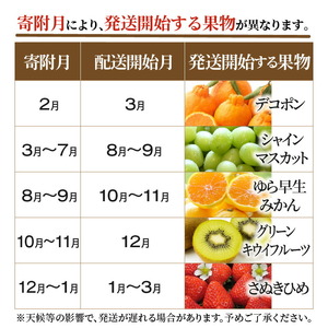 いちご デコポン シャインマスカット みかん キウイ フルーツ 定期便 産地厳選三豊のフルーツ５回定期便A_M64-0022