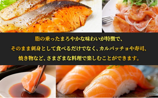 奥日向サーモン ロイン(皮なし柵どり真空)
