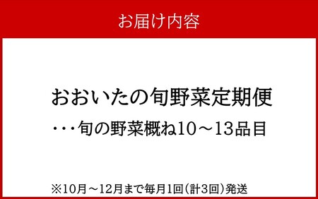 2396R_10月からお届け!おおいたの旬野菜定期便/計3回発送