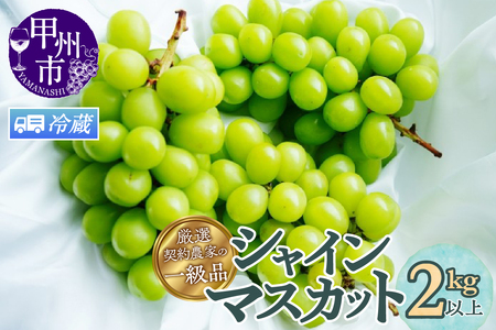【クール配送】厳選契約農家の一級品 シャインマスカット 2kg以上 3～5房【2025年発送】（SFL）C-430CO シャインマスカット フルーツ