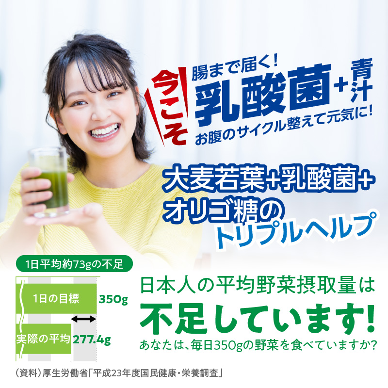 青汁 ドラッグストア売上No.1 乳酸菌プラス 大麦若葉100％ 山本漢方 徳用 60スティック　粉末 抹茶風味 無添加 健康食品 食物繊維