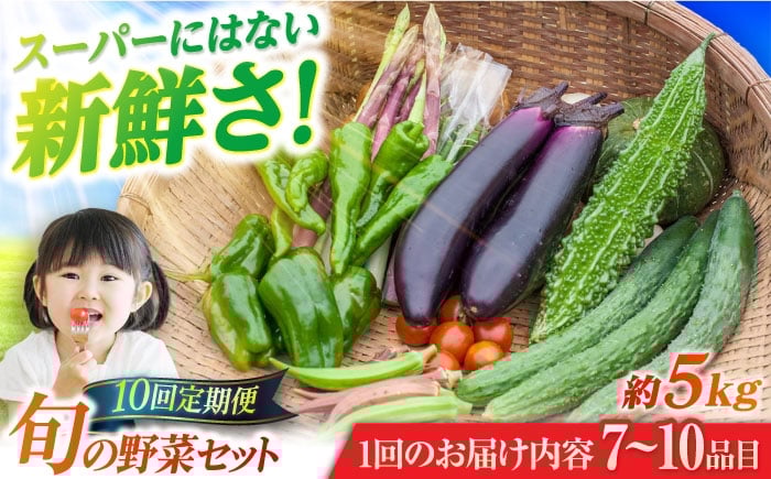 
            【10回定期便】旬野菜セット7～10品目（五島列島産） 5kg未満　五島市/やぁしゃ便 [PBG008]
          