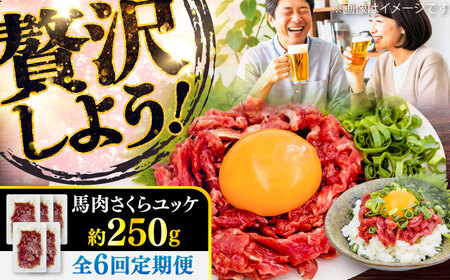 【全6回定期便】馬肉さくらユッケ 約250g(約50g×5パック) / 馬肉 ユッケ 馬刺しユッケ 小分け 生食用 熊本肥育 桜ユッケ 馬刺し 熊本県 おつまみ 晩酌 菊陽町【五右衛門フーズ】[BHCY031]