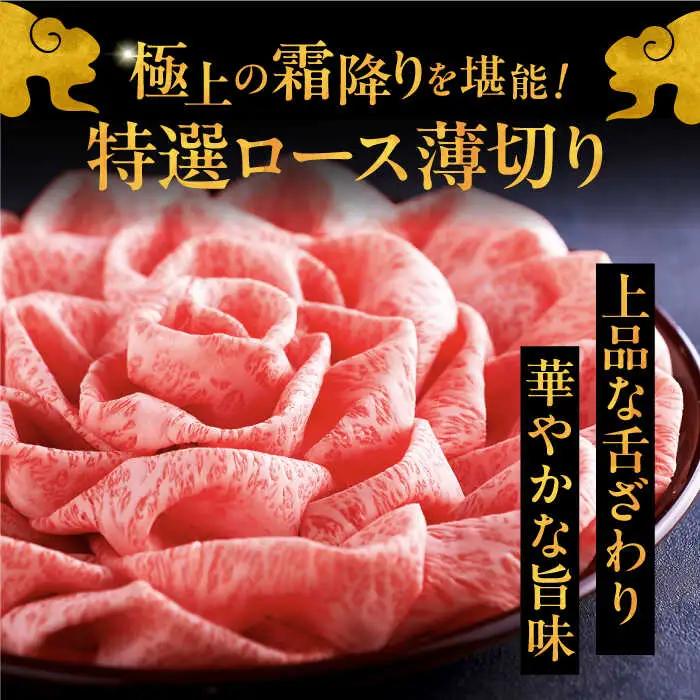 【全12回定期便】博多和牛 王道 食べ比べ 定期便 2人前 [ADBM162] サーロイン ロース シャトーブリアン 贅沢 高級 定期便 