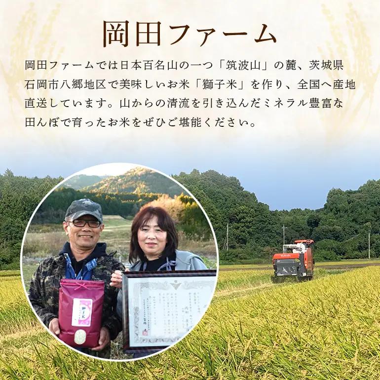【令和8年産先行予約】獅子米まんげつもち（玄米）30kg B02-104
