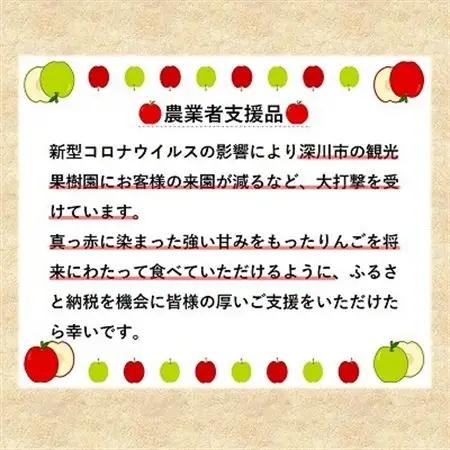 【令和8年産先行受付】北海道深川市産りんご(つがる)5kg【ふるさと納税】【配送不可地域：離島】【1298284】