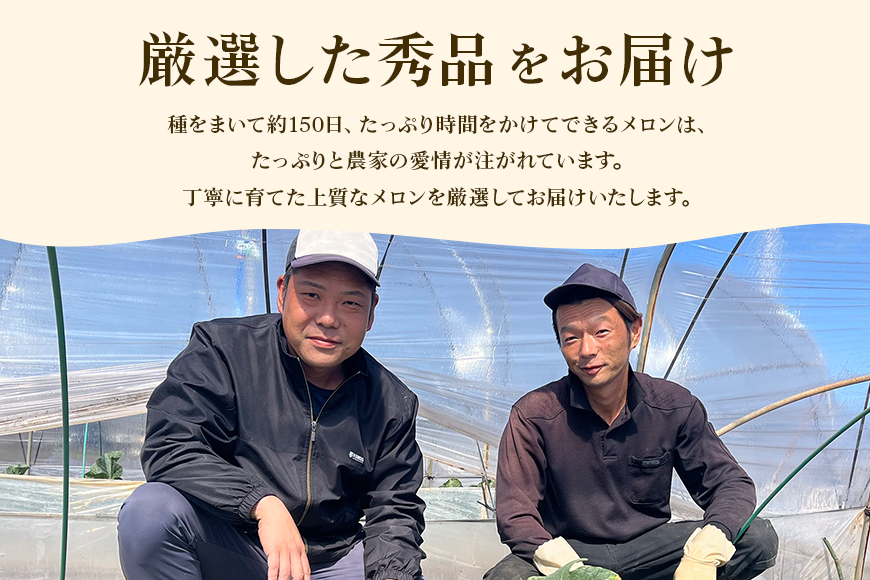 【数量限定・期間限定】おみたまレノンメロン（赤肉）2玉 メロン 秀品 茨城県産 めろん 52-D