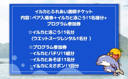 イルカと泳ごう！シングル（イルカとふれあい体験チケット）体験チケット レジャーチケット アクティビティ 動物ふれあい 大分県産 九州産 津久見市 国産