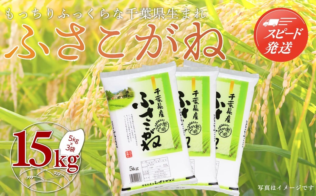 
                  【最短2～7営業日出荷】令和7年産 千葉県産「ふさこがね」15kg（5kg×3袋） お米 15kg 千葉県産 大網白里市 ふさこがね 米 精米 こめ 送料無料 A048
                