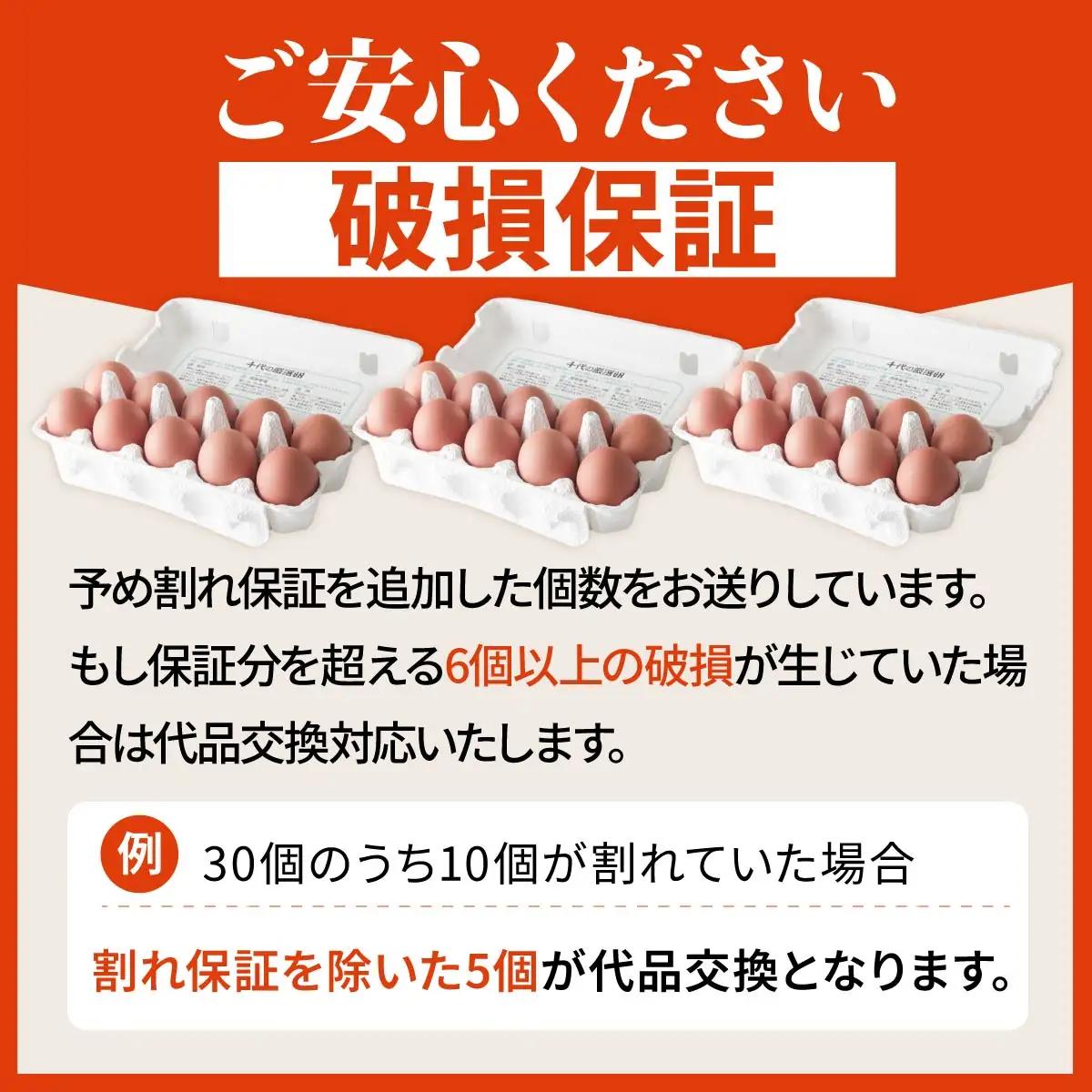 卵 朝どり 厳選卵 30個 割れ保証付き 12ヶ月定期便