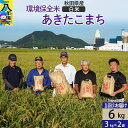 【ふるさと納税】【白米】令和6年産 秋田県産 あきたこまち 環境保全米 6kg (3kg×2袋)