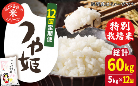【全12回定期便】【甘みと旨みのお米】長崎県産米 (つや姫) 計60kg (5kg×12回)【ながさき西海農業協同組合】[QAZ018]