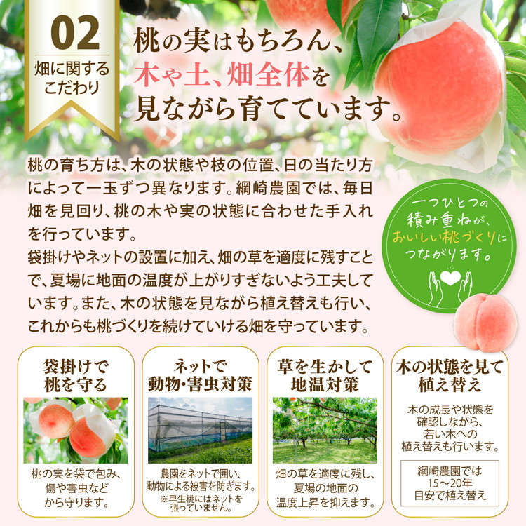 【2026年出荷分先行予約】愛媛の桃どころ 「綱崎農園」から届ける大玉桃 約2kg ｜ ふるさと納税 桃 冷蔵 松野町 フルーツ ギフト ※北海道・沖縄・離島への配送不可 ※2026年6月中旬～8月中