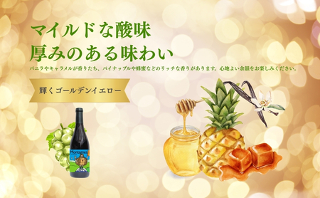 白ワイン＜モンターニュ シャルドネ＞ 750ml × 1本 ｜白ワイン