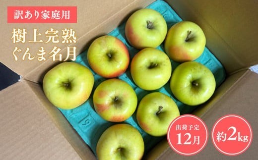 
                  ≪令和8年産先行受付≫家庭用 樹上完熟ぐんま名月約2㎏【青森県 平川市 山内ファーム】家庭用 平川市産 青森りんご りんご リンゴ 林檎 完熟 群馬名月 名月 お取り寄せ 先行予約 果物 くだもの フルーツ 
                