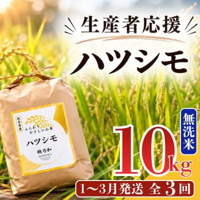ふるさと納税 羽島市 【発送月固定定期便】【先行予約】生産者応援!岐阜県産ハツシモ(無洗米)10kg【1〜3月】全3回