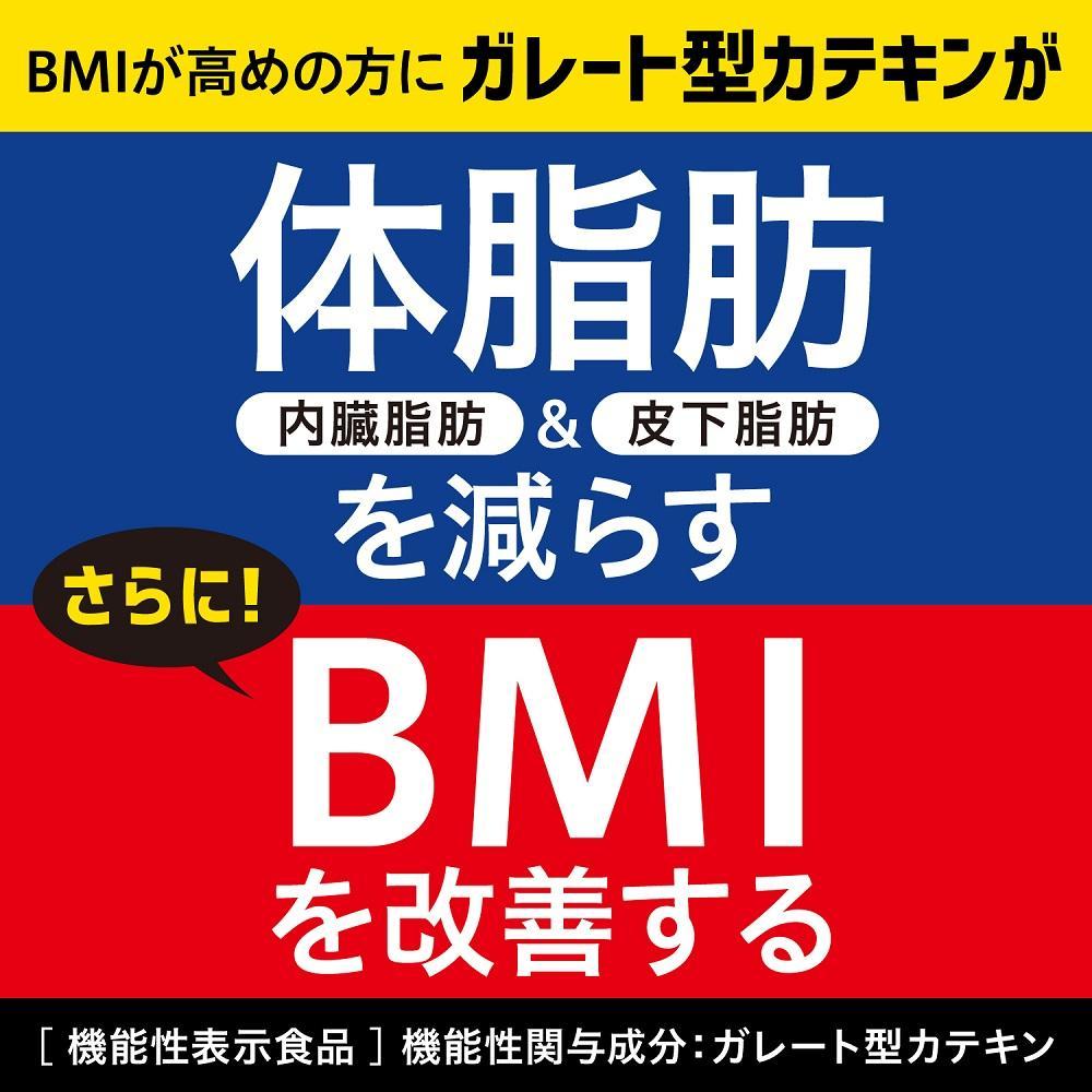 【機能性表示食品】お～いお茶濃い茶プレミアムティーバッグ 1ケース（20袋×8箱）