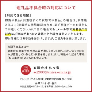 江刺りんごと岩手県産野菜セット【12月お届け】離島配送不可 [AQ017]