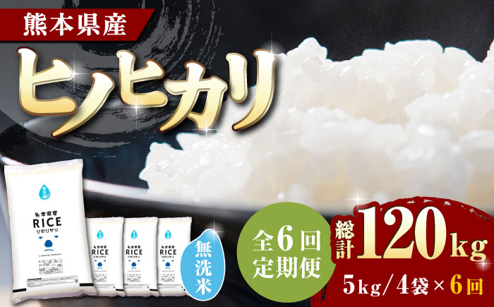 
            【2月4日までの限定価格！】【全6回定期便】 ヒノヒカリ 無洗米20kg【有限会社  農産ベストパートナー】 [ZBP119]
          