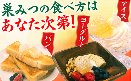 【先行受付 令和6年7月より発送】国産巣みつ 900g(300g×3個)　広川町 / 株式会社九州蜂の子本舗[AFAI006]