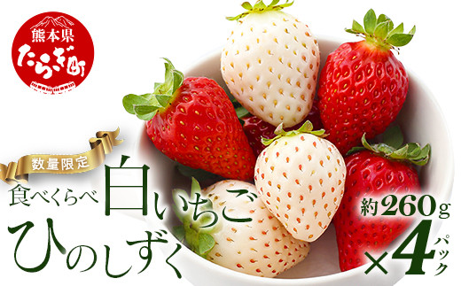 【先行予約】熊本県産 いちご【ひのしずく・白いちご】食べ比べセット 約260g×各2パック (合計4パック )  ≪ 苺 イチゴ 数量限定 坂下農園 イチゴ 1040g 苺 フルーツ 果物 春 名産 熊本 多良木町 ビタミン 旬 先行予約 ≫103-0008