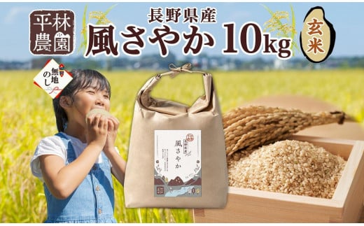 ＜新米予約＞無地熨斗 令和6年産 風さやか 玄米 10kg×1袋 長野県産 米 お米 ごはん ライス 低GI 甘み 農家直送 産直 信州 人気 ギフト お取り寄せ 平林農園 送料無料 長野県 大町市