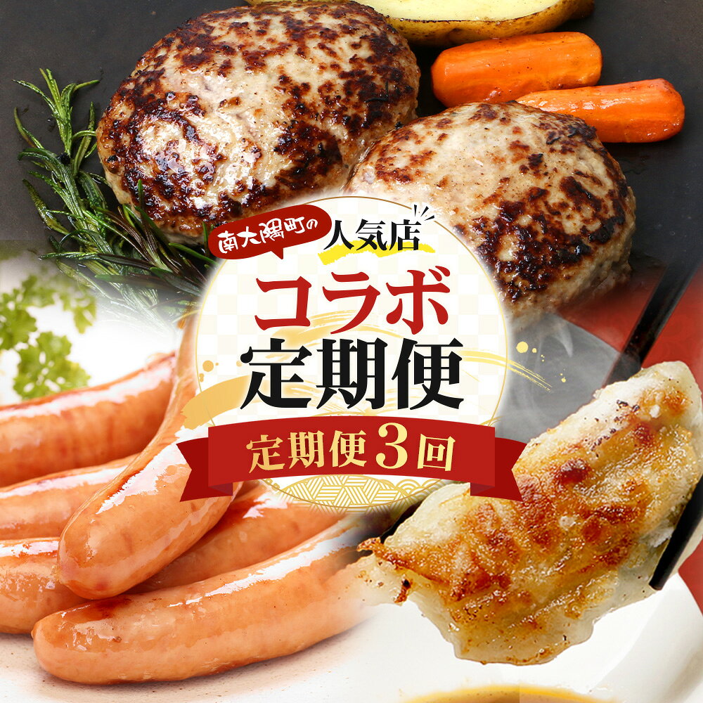【ふるさと納税】≪定期便3回≫南大隅町 大人気店の自慢の味 コラボ定期便 NI-9｜定期便 惣菜 本土最南端 加工品 惣菜 おかず お弁当 月替わり 毎月おとどけ 焼くだけ バラエティ 食べ比べ 3回 簡単調理 ストック 精肉店 ファーム 豚 鹿児島県 南大隅町 なんたん市場