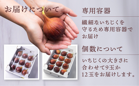 先行予約 完熟 いちじく［極］ 2箱セット 2026年6月～10月お届け いちじく イチジク フルーツ 果物