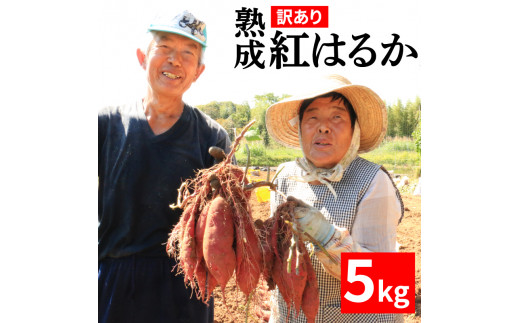 
訳あり 熟成 紅はるか 5kg さつまいも いも 低温熟成 完全熟成収穫 M～2Lサイズ 高糖度 料理 国産 愛媛県 愛南町
