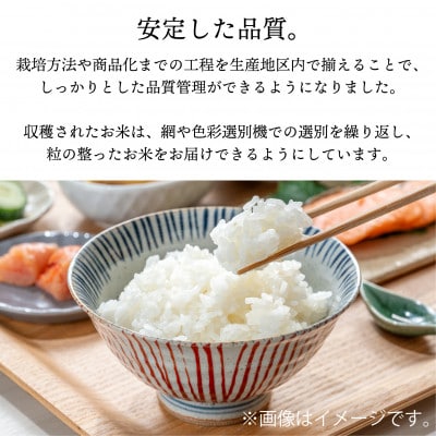 【令和6年産・精米】柳津町産のおいしいこしひかり「中山間のかがやき」5kg 〈10月末より順次発送〉