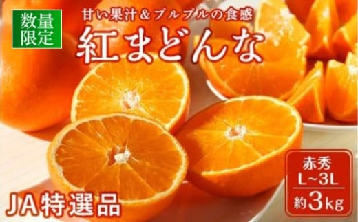 
            【先行受付】JA特選品 紅まどんな（赤秀L～3L 約3kg）
          
