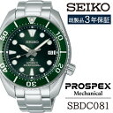 【ふるさと納税】 SEIKO 腕時計 おすすめ SBDC081 セイコー プロスペックス メカニカル 3年保証 ／ 岩手県 雫石町 時計 ウォッチ ウオッチ 男性用 メンズ ビジネス フォーマル カジュアル 高級 プレゼント ギフト ブランド 父の日 就活 社会人 応援 記念日 お祝い 送料無料