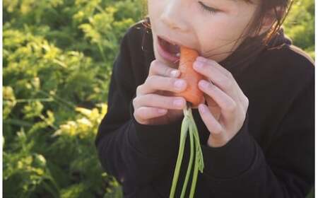 こどもも食べられる甘み！ジュースにしても美味しい！「マドンナキャロット」 10kg にんじん 野菜 H105-120