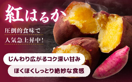 【 紅はるか 】 焼き芋 4kg さつまいも[AEDG008]