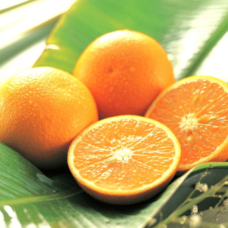有田産「清見オレンジ」秀品(M~2Lサイズ)5kg