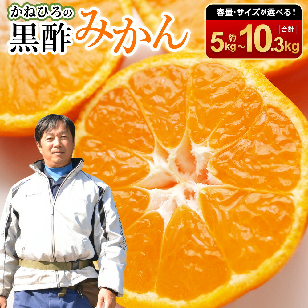 【ふるさと納税】かねひろの黒酢みかん ( 3S～2S / 2L～3L / 2S～2L ) 約5kg 約10kg 約10.3kg 【選べる容量】 【7営業日以内発送】 【2026年10月下旬から2027年1月下旬まで発送予定】 みかん ミカン 黒酢みかん 大玉 小玉 温州みかん フルーツ 果物 くだもの 柑橘 常温 国産