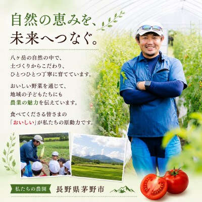【毎月定期便】蓼科野菜　八ヶ岳産高原育ちのフルーツミニトマト 約2kg 全2回【配送不可地域：離島】