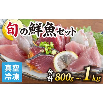 ふるさと納税 南越前町 【日本海鮮魚】漁師厳選鮮魚真空冷凍セット 約800g〜1.0kg(3種以上)