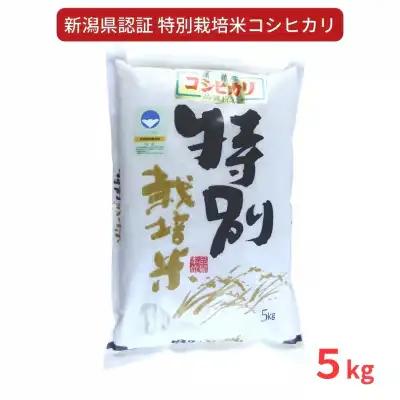 特別栽培米 コシヒカリ5kg 新潟県認証 令和7年 三条市 コシヒカリ アグリ巧房